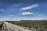 Limestone Road