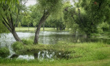 Torrential Rain Aftermath