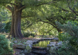 Secluded Stream