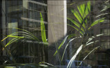 View  Through  Glass 