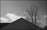 Winter Sky