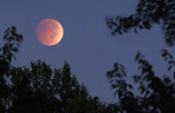 Lunar Eclipse10/8/2014 