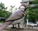 Olympic Sparrow