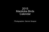 2015 Manitoba Birds