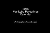 2015 Manitoba Peregrines