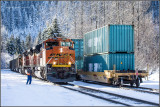 Tracks In The Snow 2014