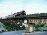 Tacoma Trestle Construction