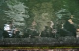 Chilling by the canal III