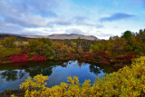 Autumn by the pond