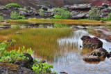 Pond at Rauhlar