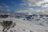Winterland IV