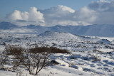 Winterland V