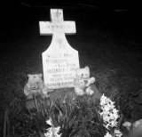 Grave Bears