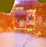 Old Polaroid 3