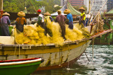 preparing their nets