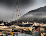 foggy evening in the Typhoon Shelter
