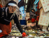 Seafood Seller, Street Markets of Mongkok