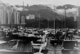 rainy, foggy days in the Typhoon Shelter