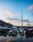 Morning in the Typhoon Shelter