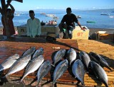 Fish market