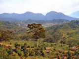 Baliem landscape