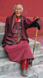 Monk, Pelyul