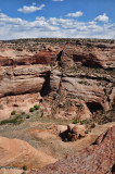 DSC01645.jpg