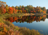 Muskoka Fall