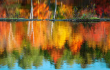 Muskoka Reflections