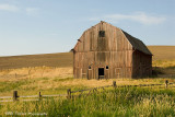 Palouse 2006