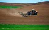 Palouse 2013