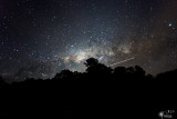 The Milky Way