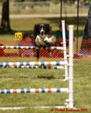 The Agility Connection 03792 copy.jpg