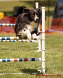 The Agility Connection 03794 copy.jpg