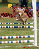 The Agility Connection 03846 copy.jpg