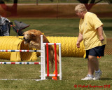 The Agility Connection 03869 copy.jpg