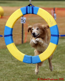 The Agility Connection 03879 copy.jpg