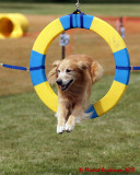 The Agility Connection 03880 copy.jpg
