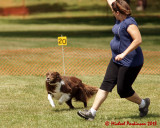 The Agility Connection 03891 copy.jpg