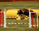 The Agility Connection 03898 copy.jpg