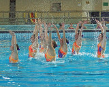Queens Synchronized Swimming 08904 copy.jpg