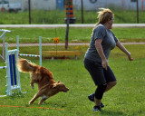 The Agility Connection 04689 copy.jpg