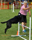 The Agility Connection 04753 copy.jpg