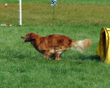 The Agility Connection 04775 copy.jpg