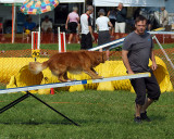 The Agility Connection 04784 copy.jpg