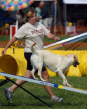 The Agility Connection 04799 copy.jpg