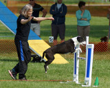 The Agility Connection 04867 copy.jpg