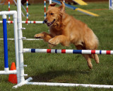 The Agility Connection 04967 copy.jpg