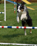 The Agility Connection 04975 copy.jpg