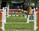 The Agility Connection 05027 copy.jpg